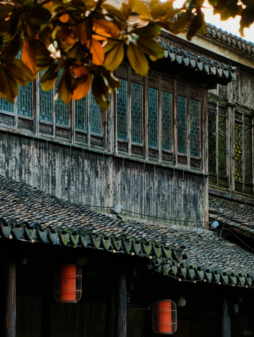 入秋的苏州，绝美水乡