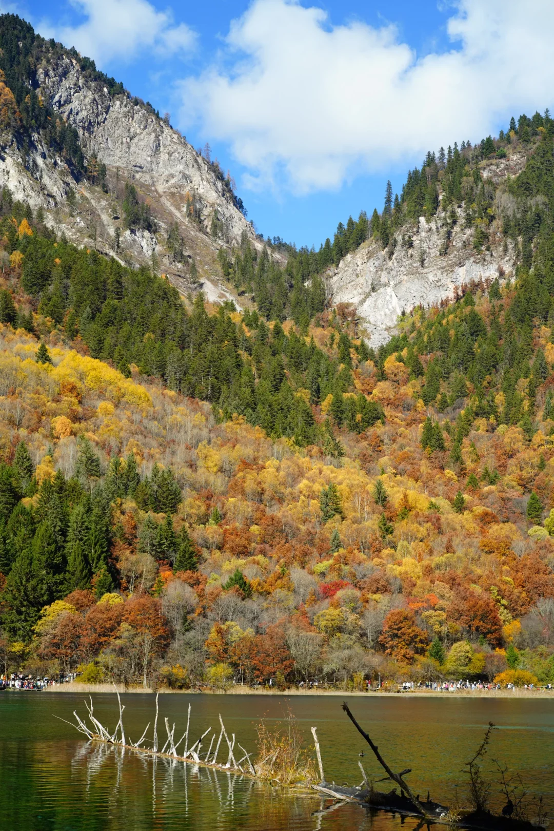 秋天的九寨沟