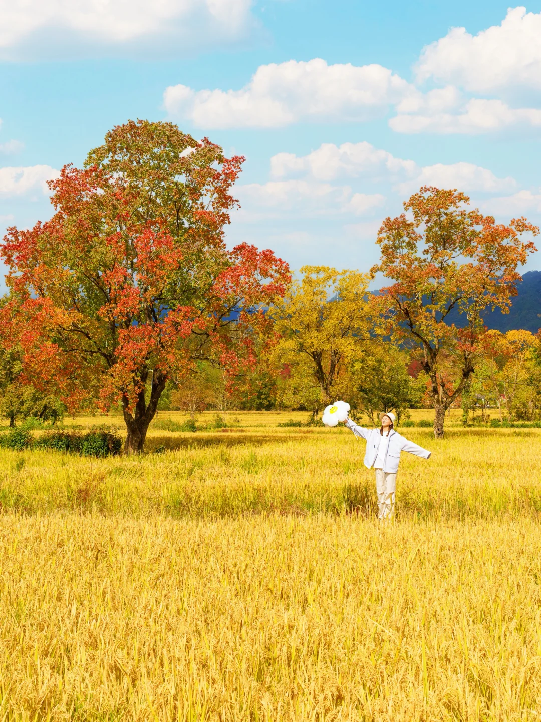 塔川实拍🍁皖南秋天可以冲啦‼️附拍照攻略