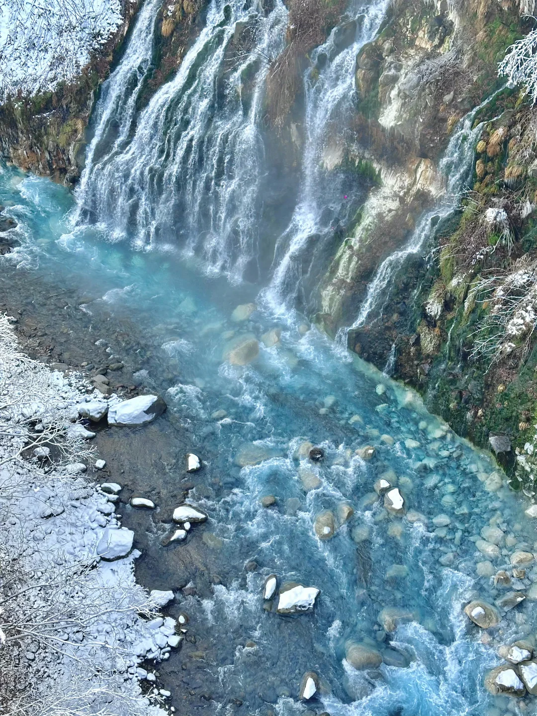 北海道包车🚗价格攻略✅（避免踩坑）💣