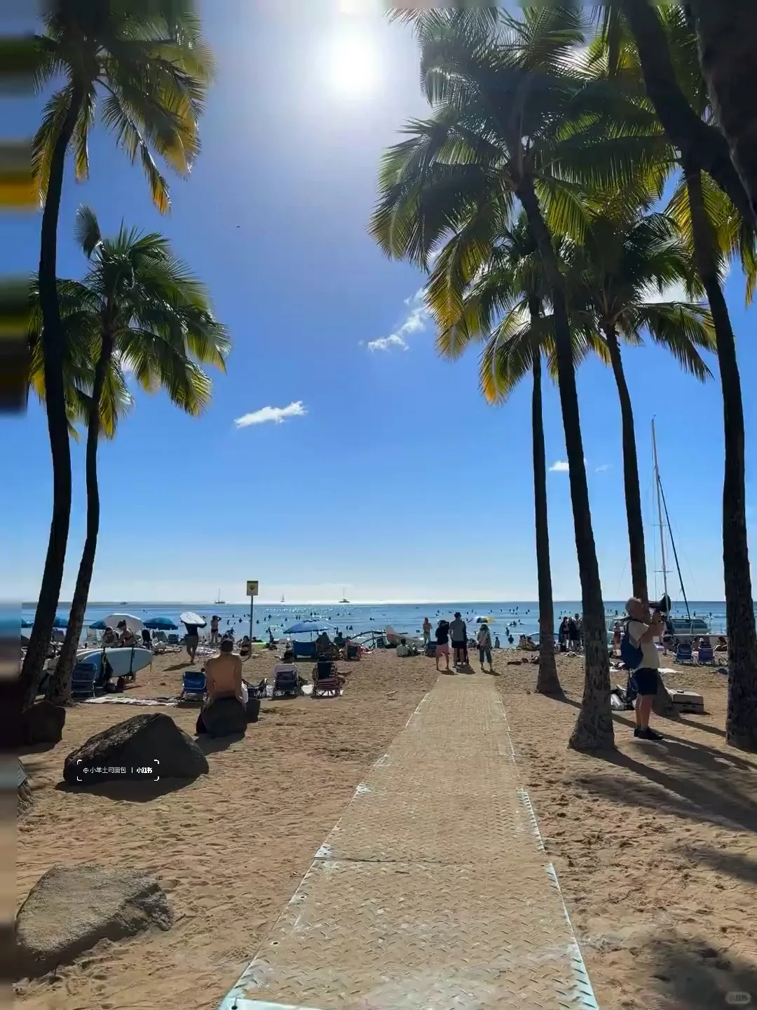 11.12📍夏威夷受罪已回,跟xhs说的不一样😅
