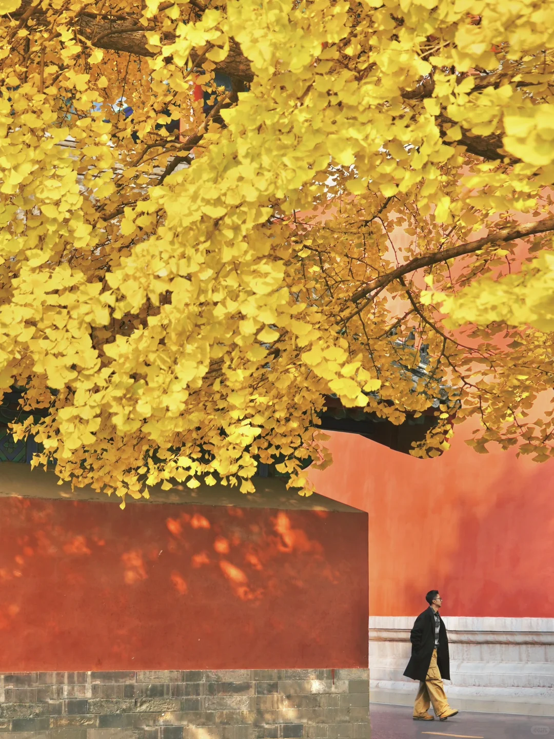 答应我,本周来北京一定走这条路线🍂11.6版