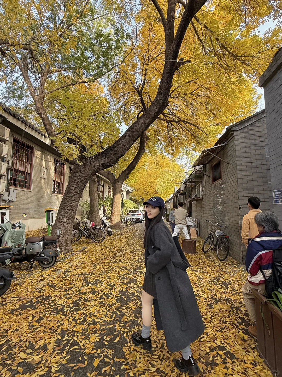 11.8实况！北京今天的胡同杀疯了！！