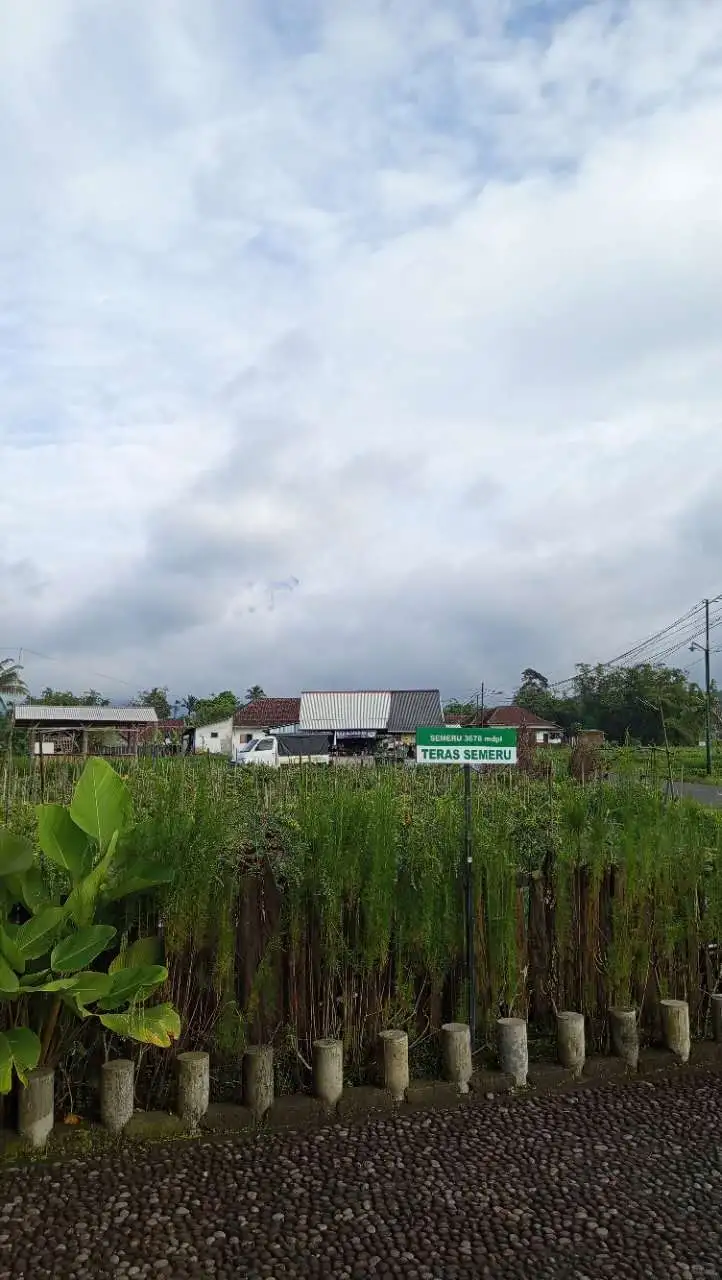 terrace semeru 11.12 cloudy