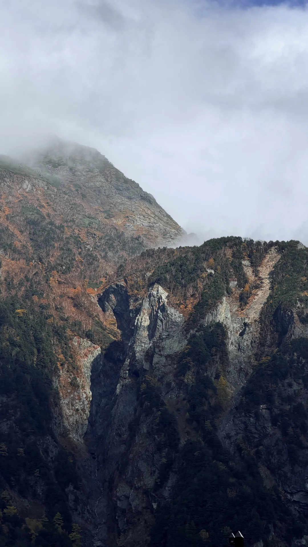 用全屏live打开上高地的秋天🍁