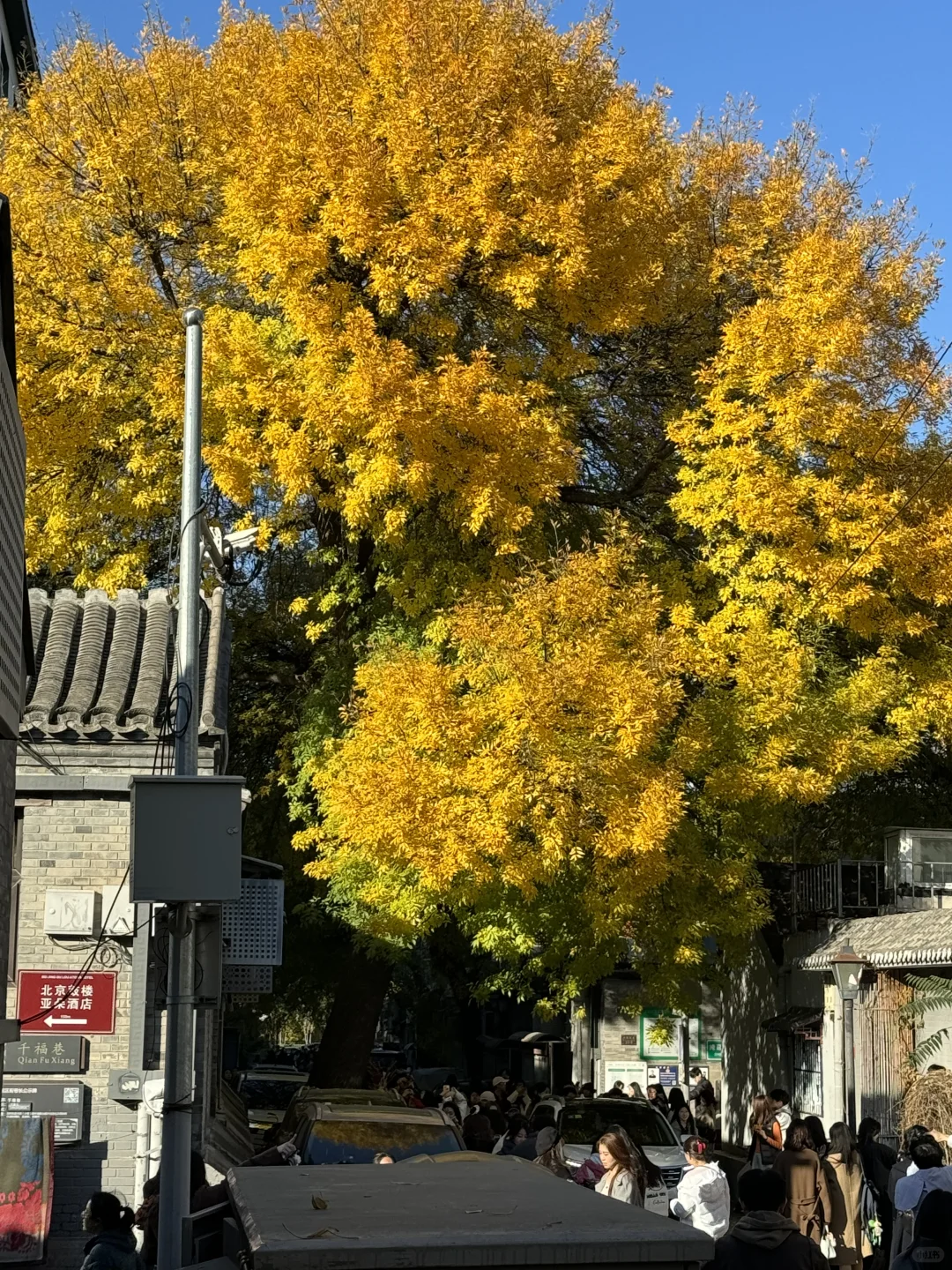 答应我,本周来北京一定走这条路线🍂11.6版