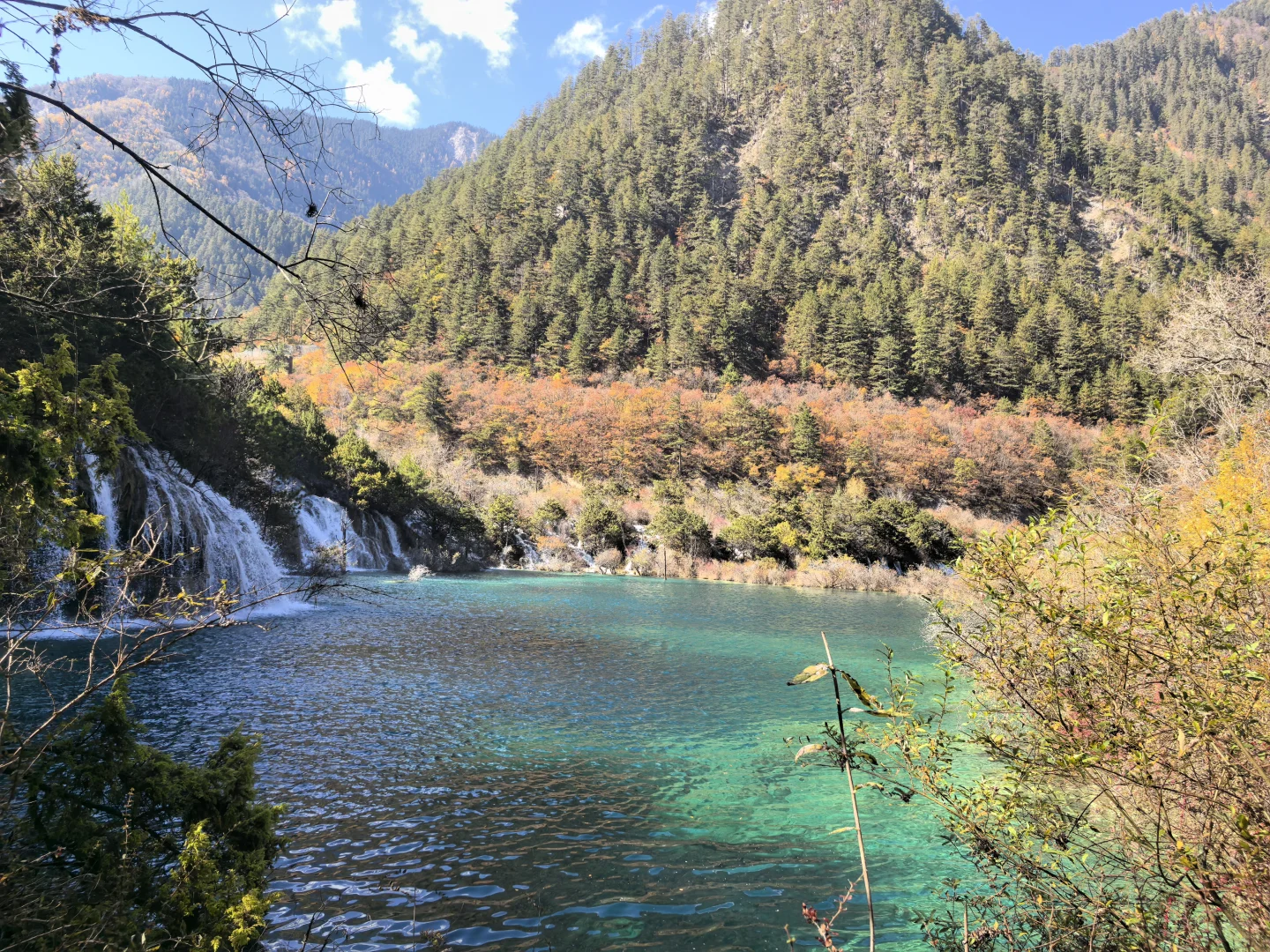 11.11九寨沟树正沟实况