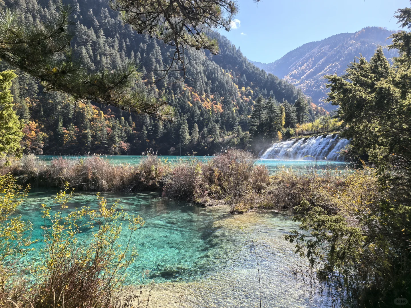 11.11九寨沟树正沟实况