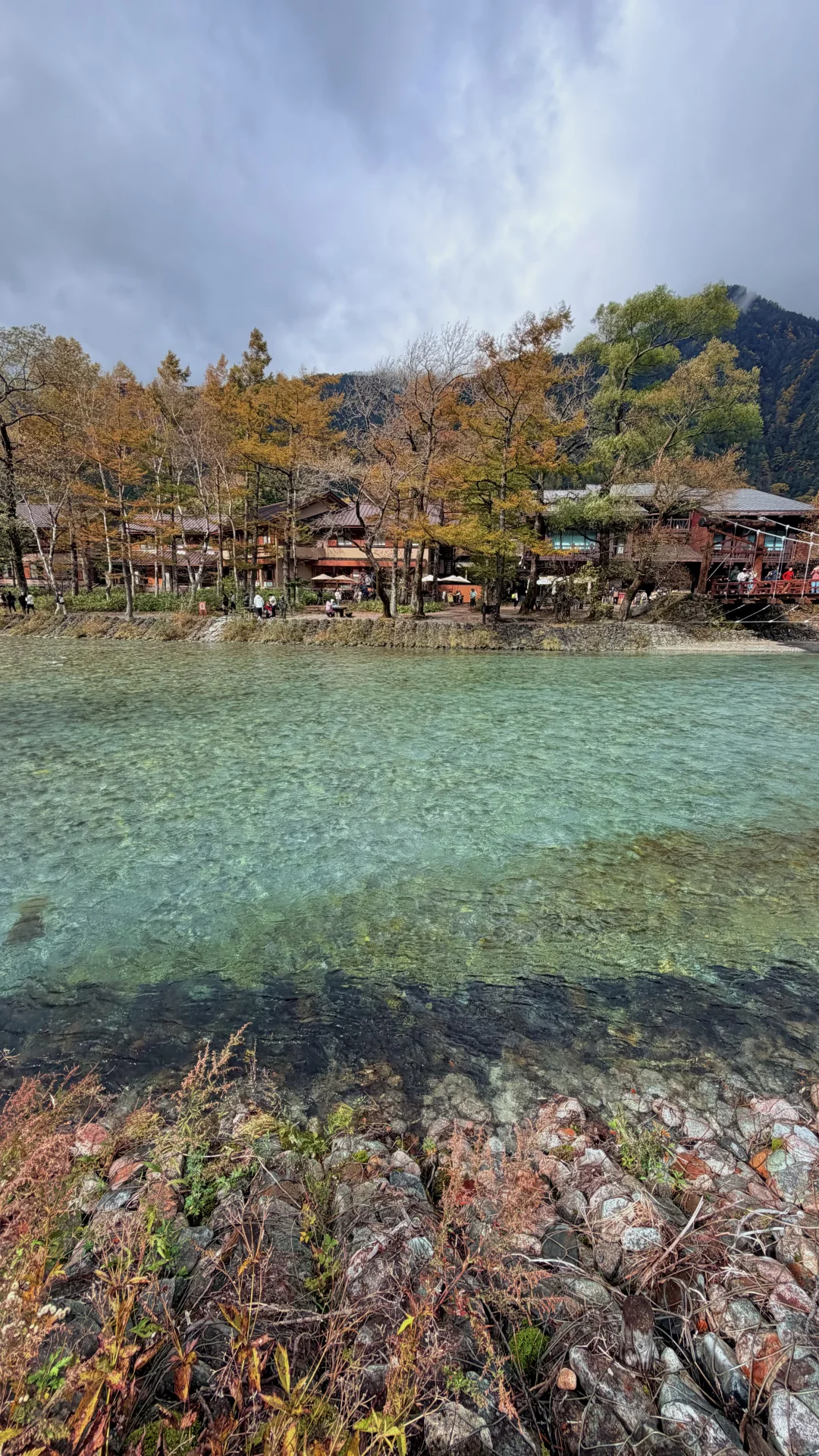 用全屏live打开上高地的秋天🍁