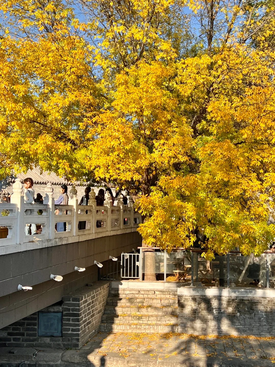 下周来北京一定要走这条赏秋路线