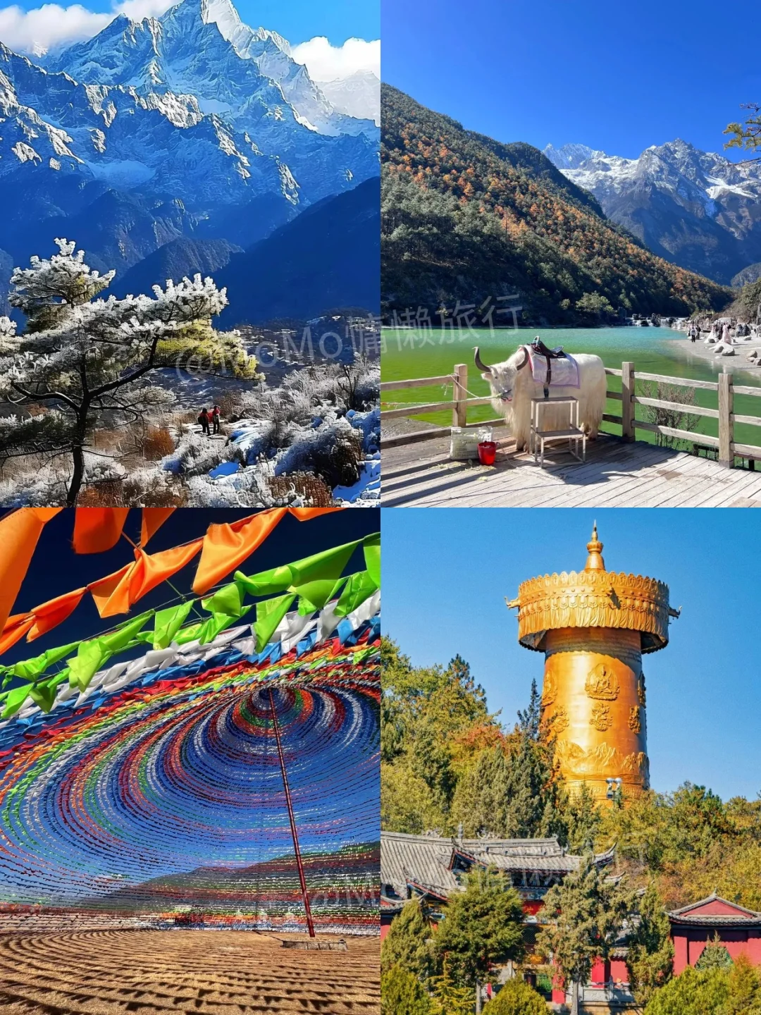 云南5天4晚纯玩旅游小团攻略📝