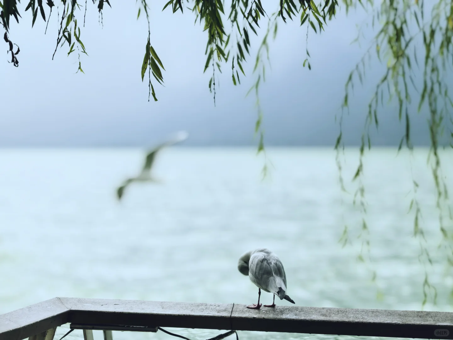 我知我喜乐，纵情跋涉”✈️