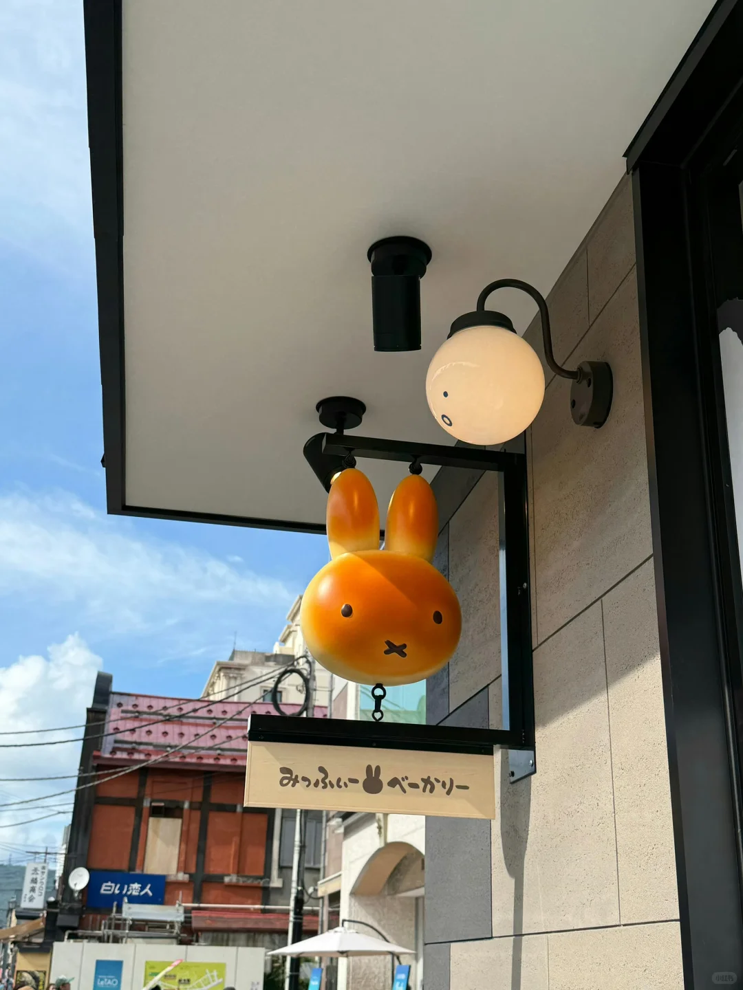 北海道包车🚗价格攻略✅（避免踩坑）💣