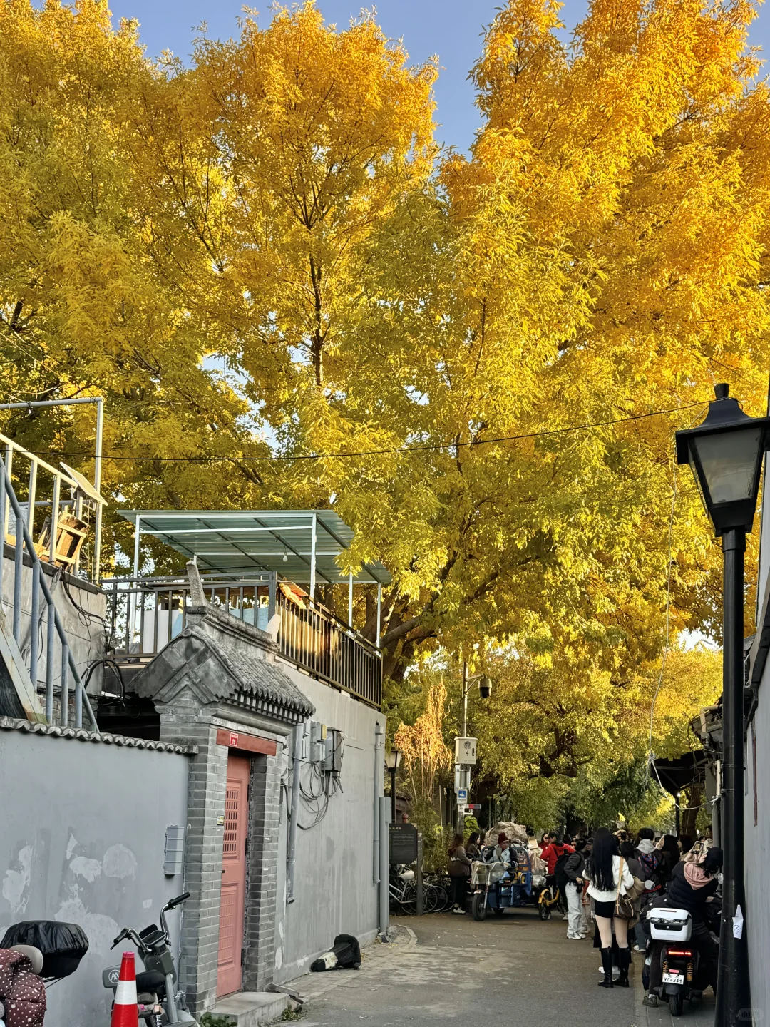 答应我,本周来北京一定走这条路线🍂11.6版