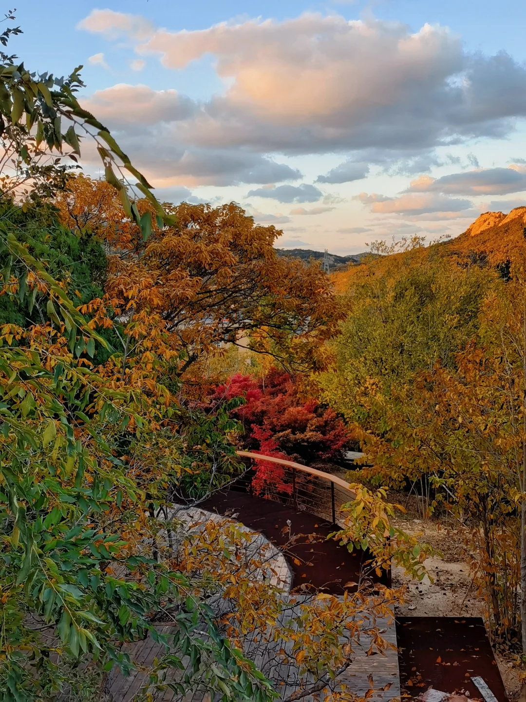 烟台1h🚗小众赏秋秘境🍁人少景美❗️