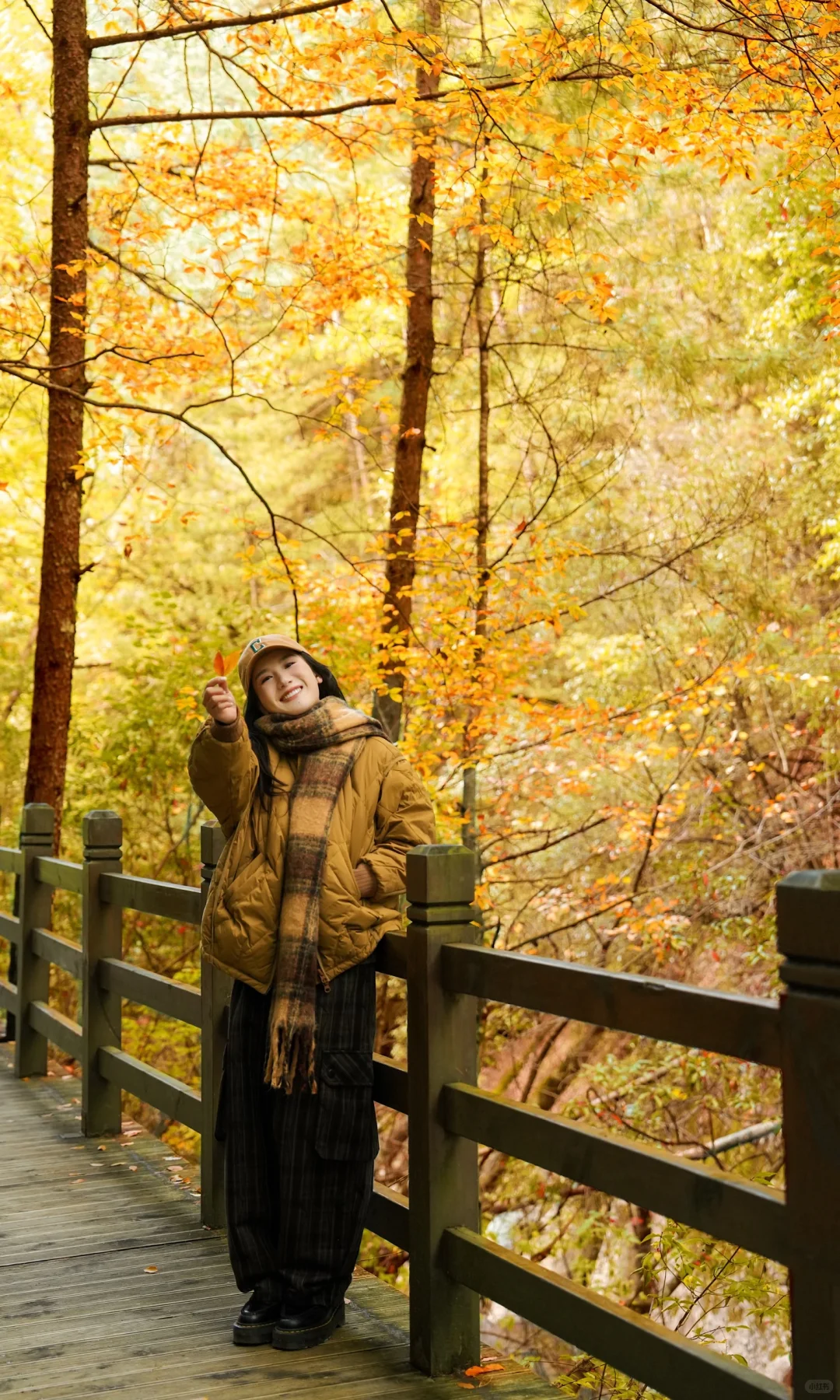 全屏｜迄今为止蕞震撼的赏秋🍁地出现了！