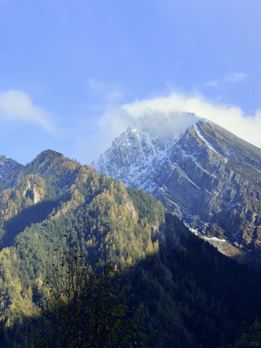 10.27九寨沟豪赌成功!红叶美哭|Live实况