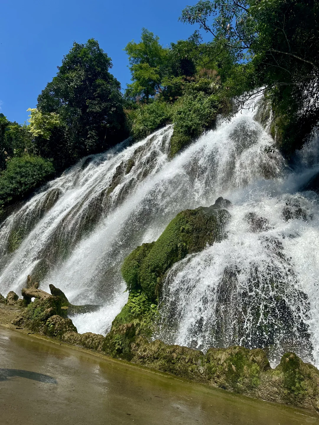 荔波小七孔｜无滤镜live图直出景色图来了🍃