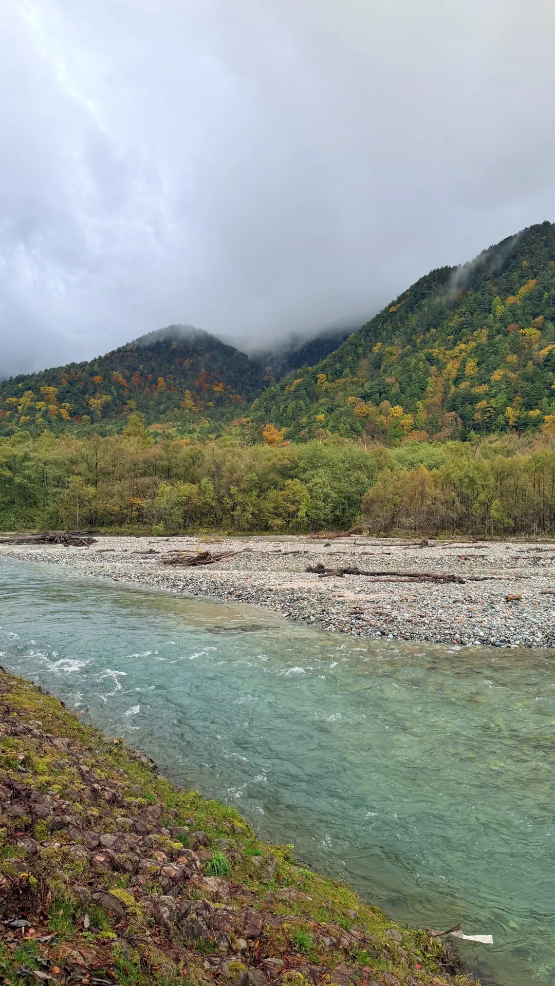用全屏live打开上高地的秋天🍁