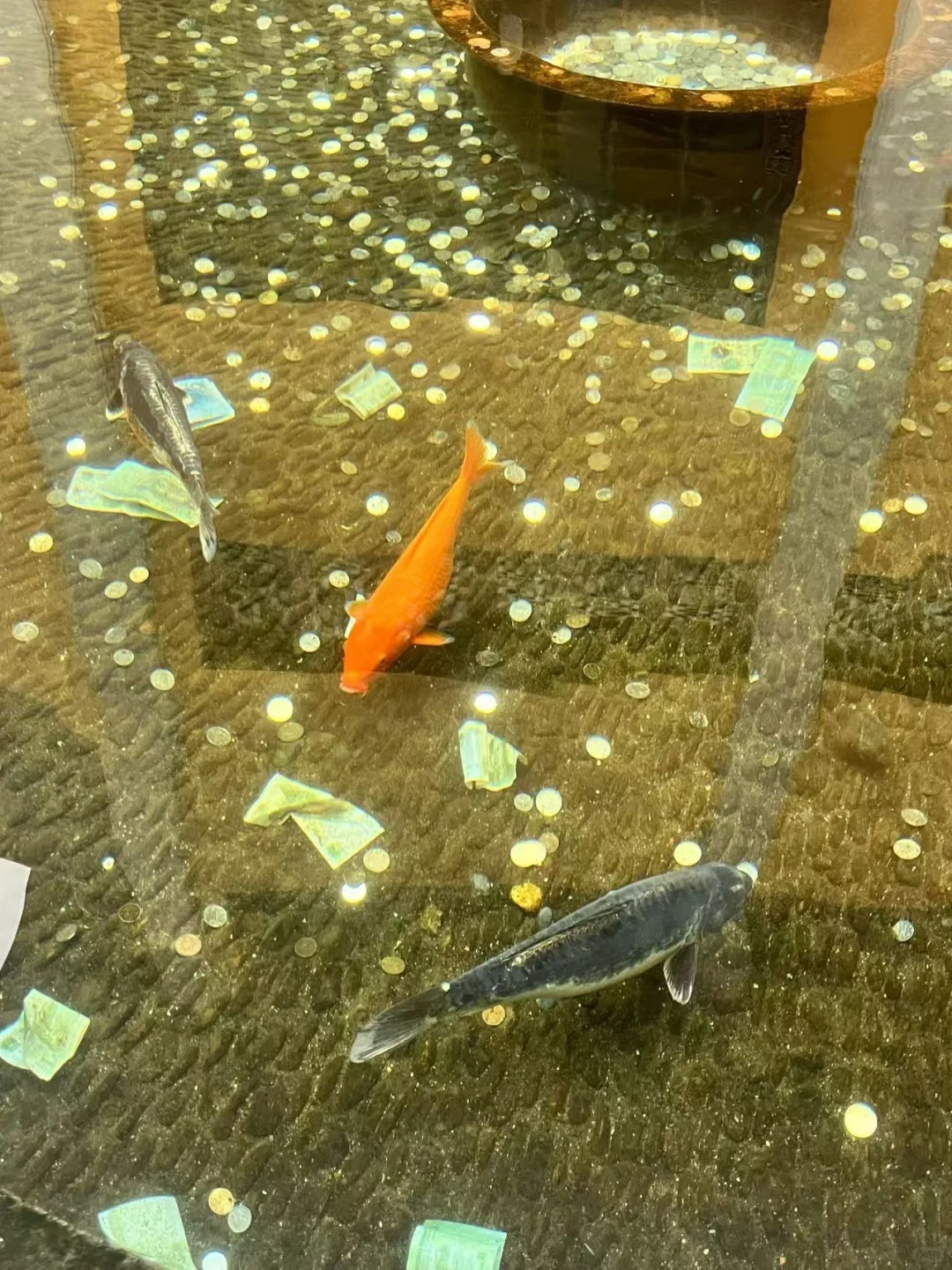 普陀山隐灵寺⛰️