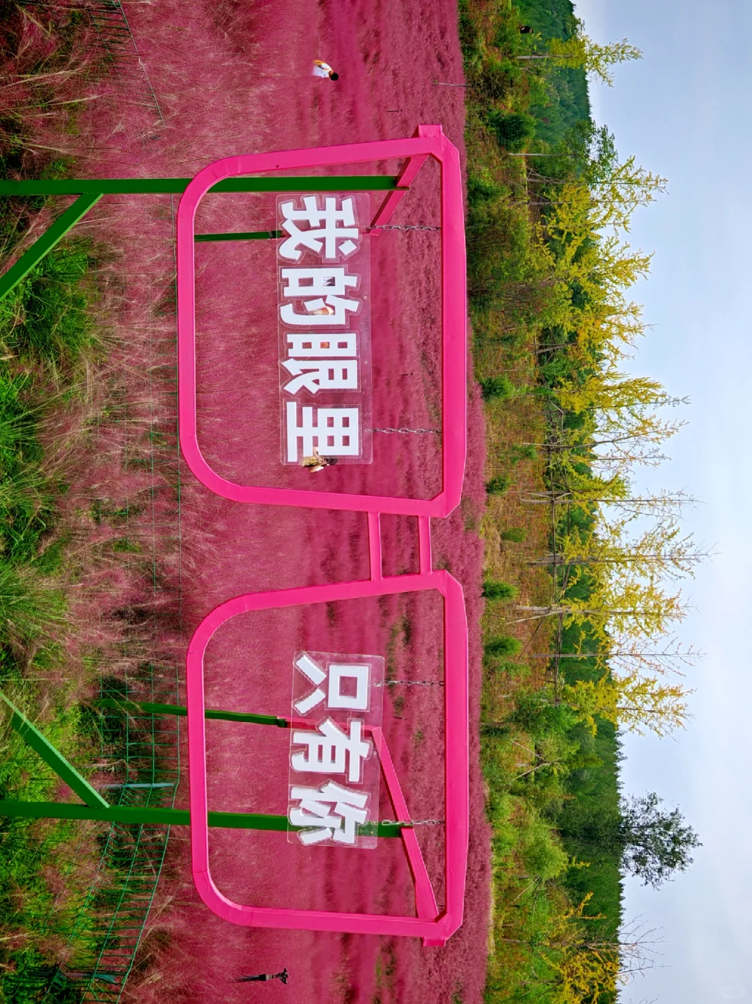 邯郸🥰关于粉红色的一切✨