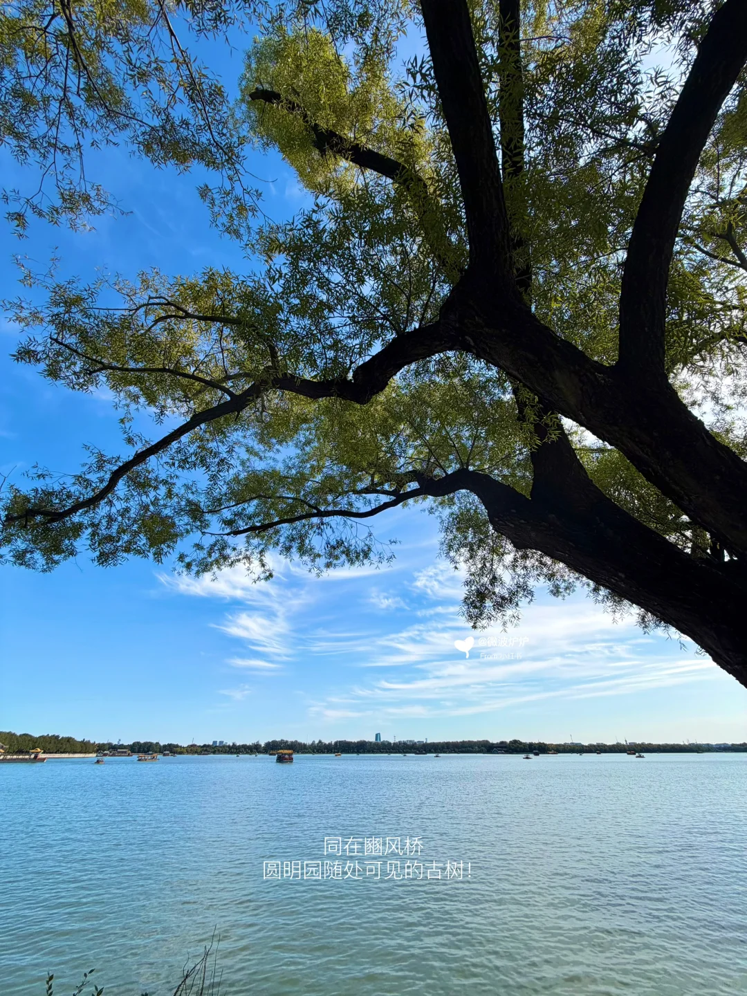 10.20📸颐和园人少景美的小众机位（附攻略