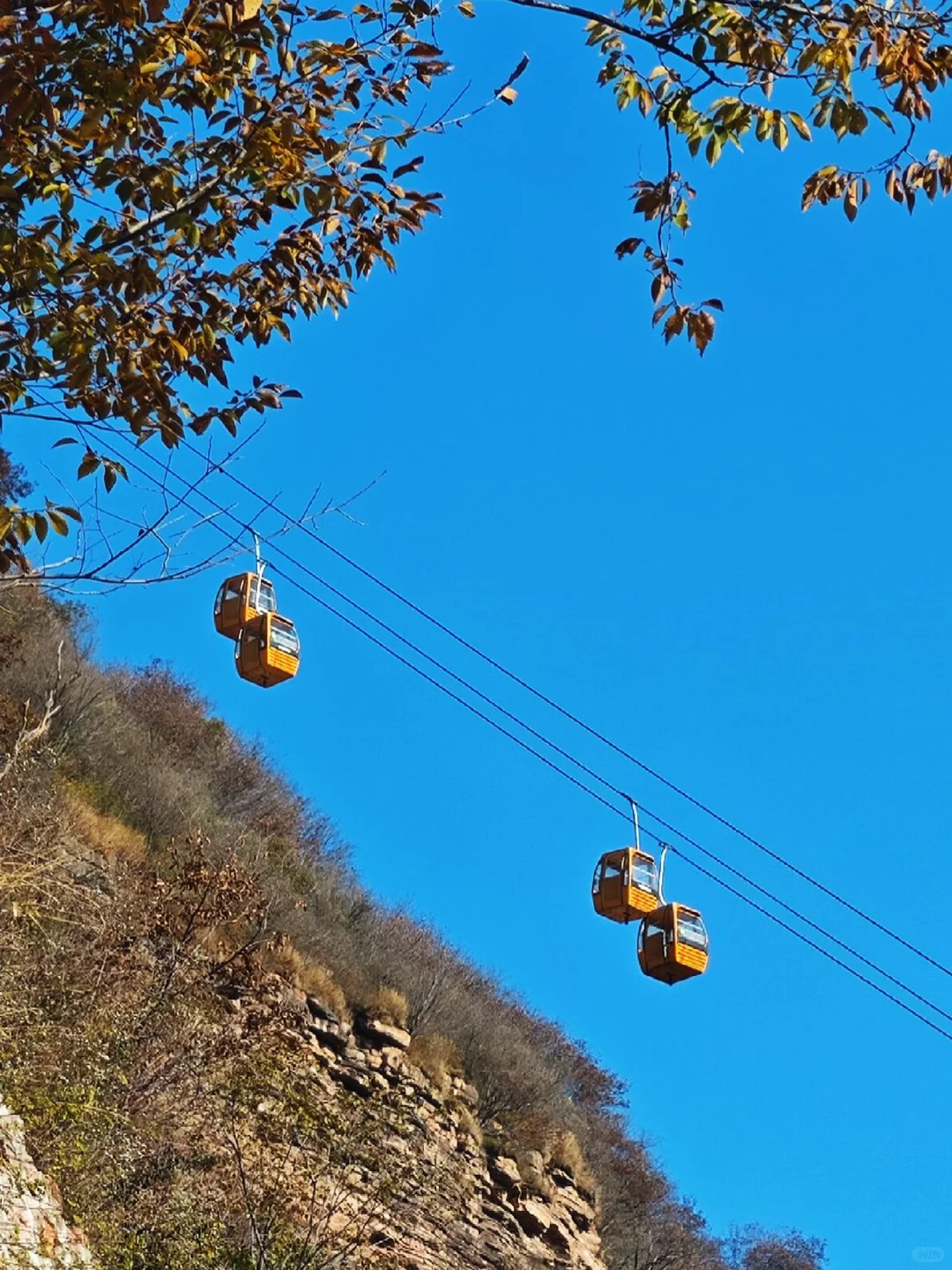 京娘湖金秋免门票🏞