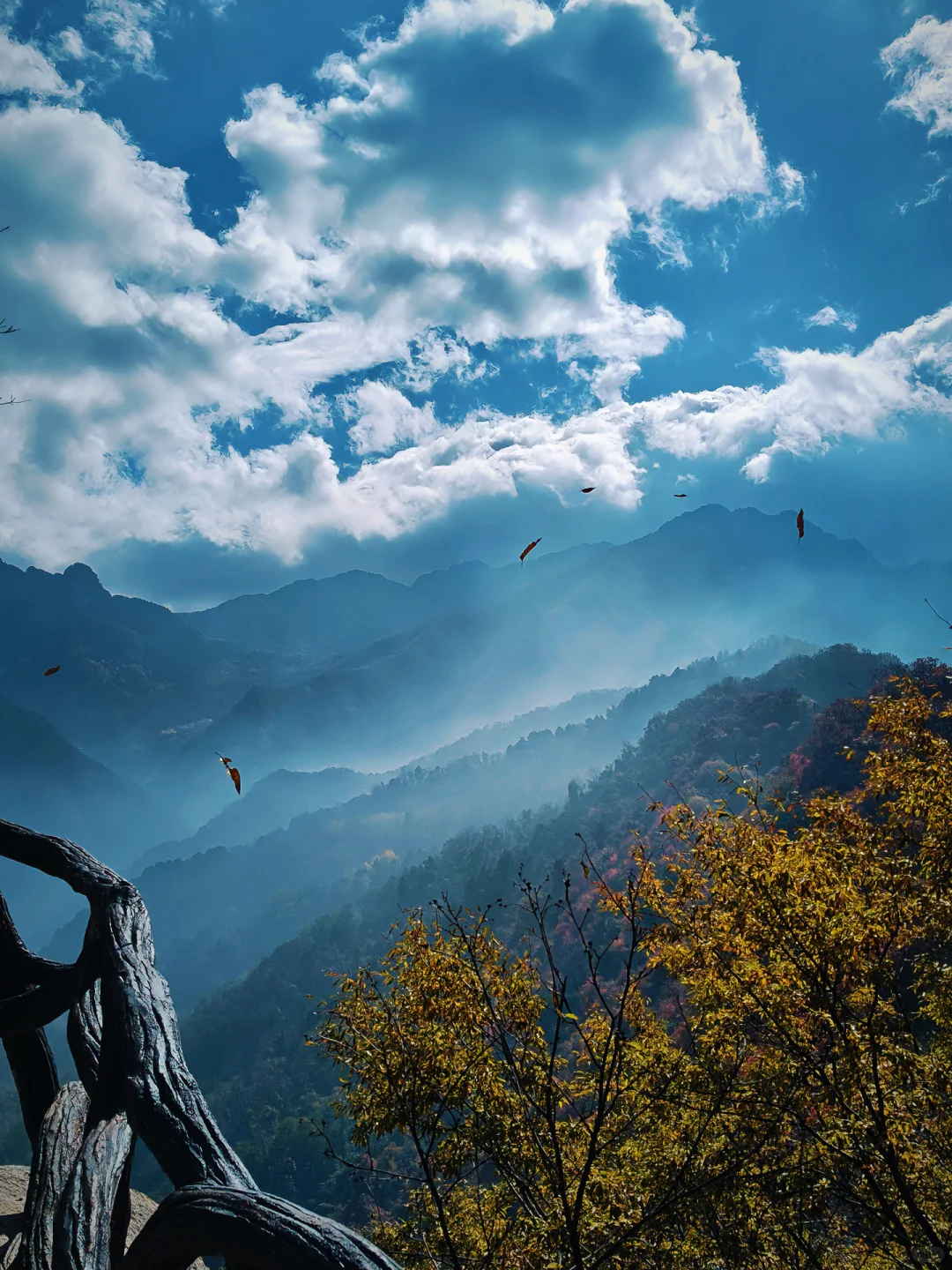 翠华山的秋色美绝了🍂