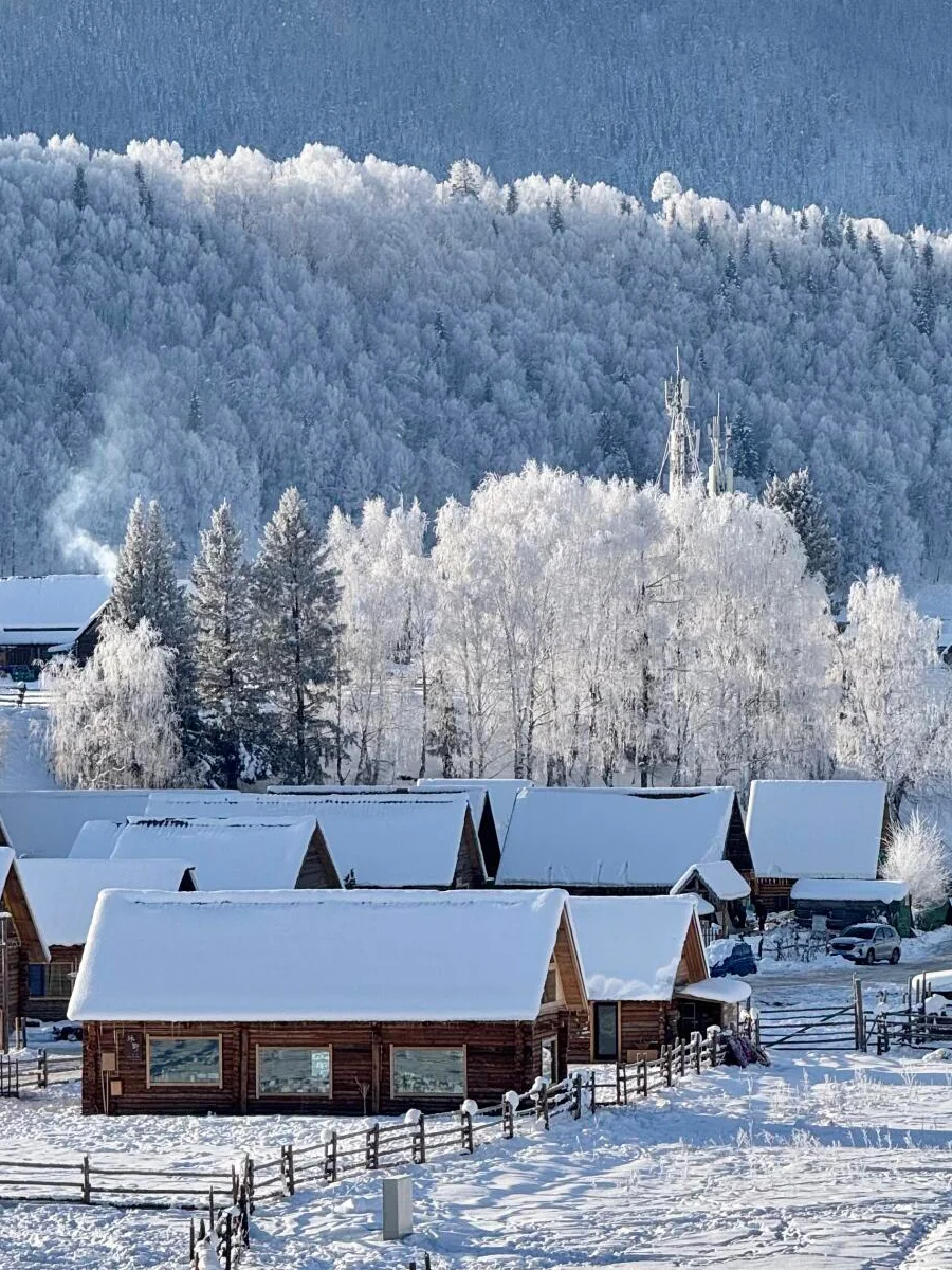 今年冬天总要去一次阿勒泰玩雪吧!
