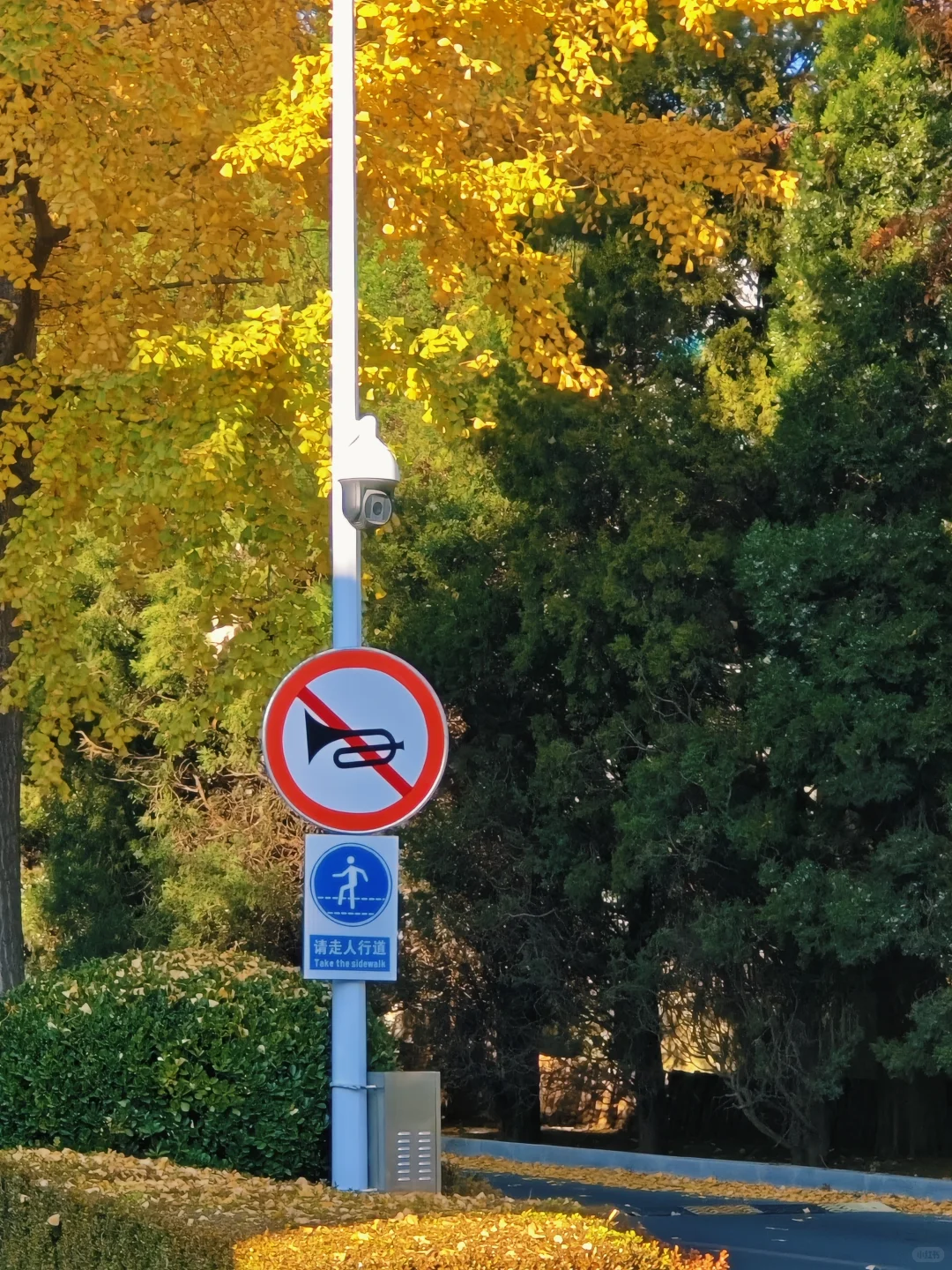 大连的秋天尊嘟好好看