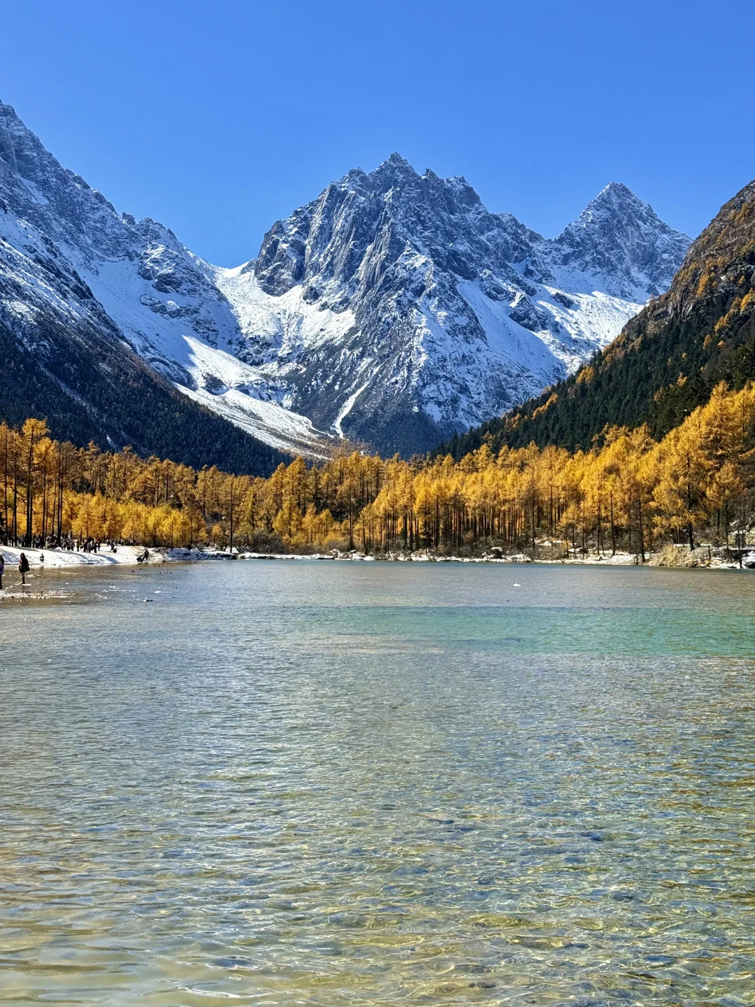 我在毕棚沟看到了此生最绚烂的秋天！！live图