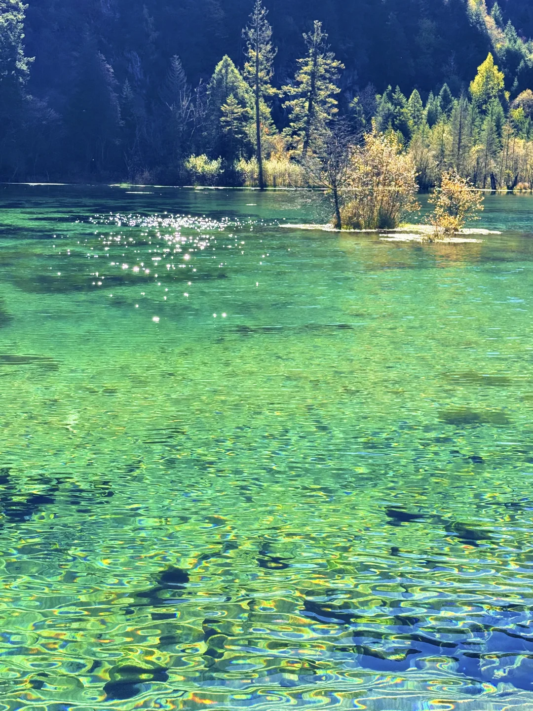 我在毕棚沟看到了此生最绚烂的秋天！！live图