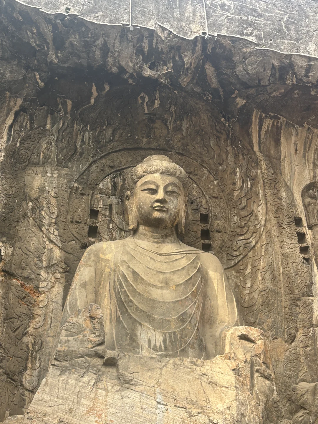 洛阳旅游攻略❗超全!11月来洛阳的宝子看