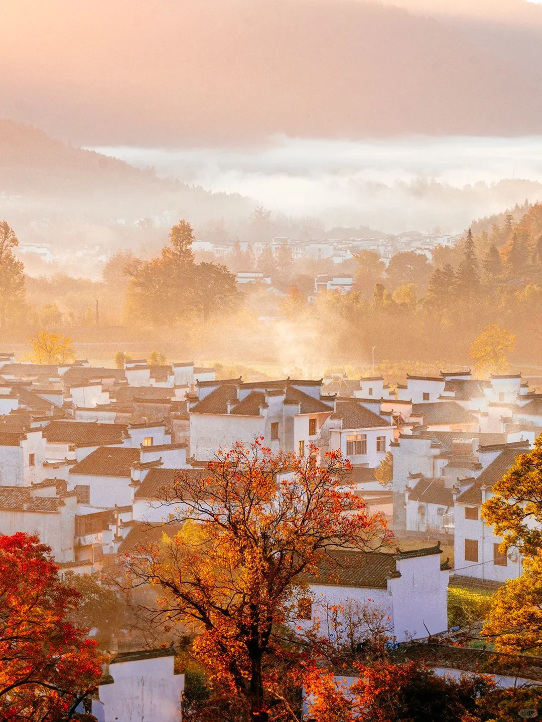 《国家地理》推荐‼️国内没有平替的绝美秋景