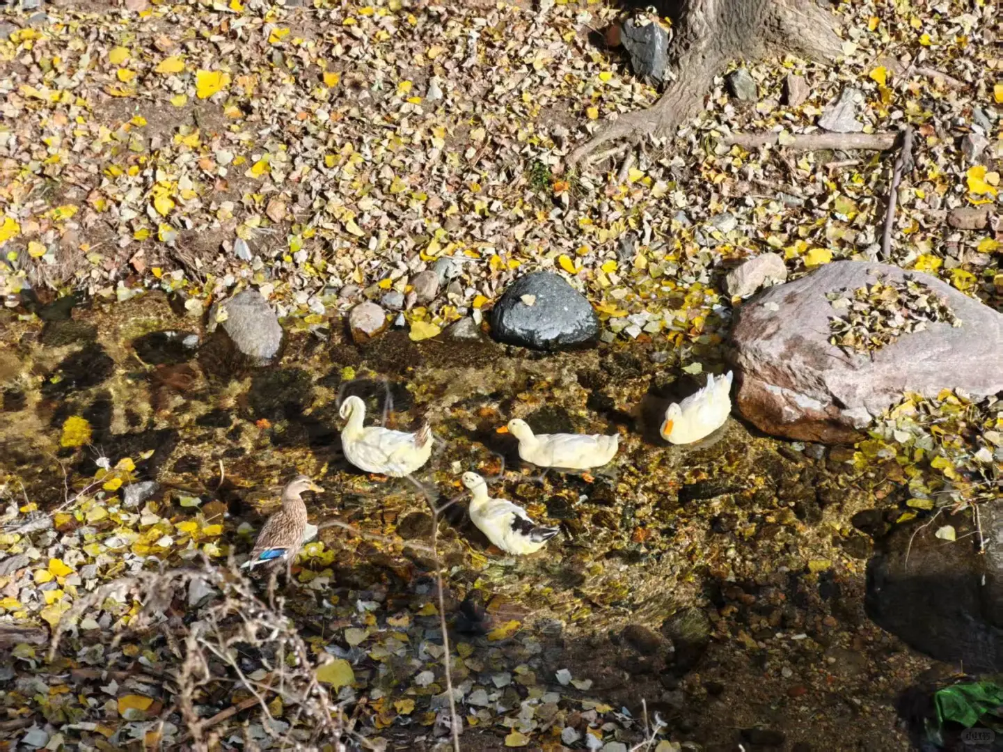 每周一山-秋山风景区