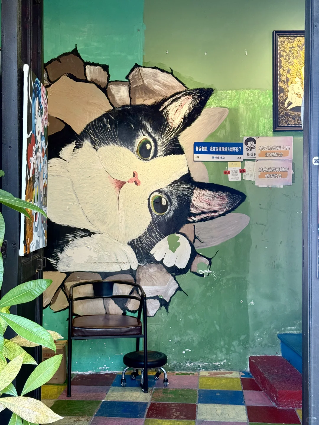 深圳观澜古墟📍百年古村的松弛感疗愈之旅🪨