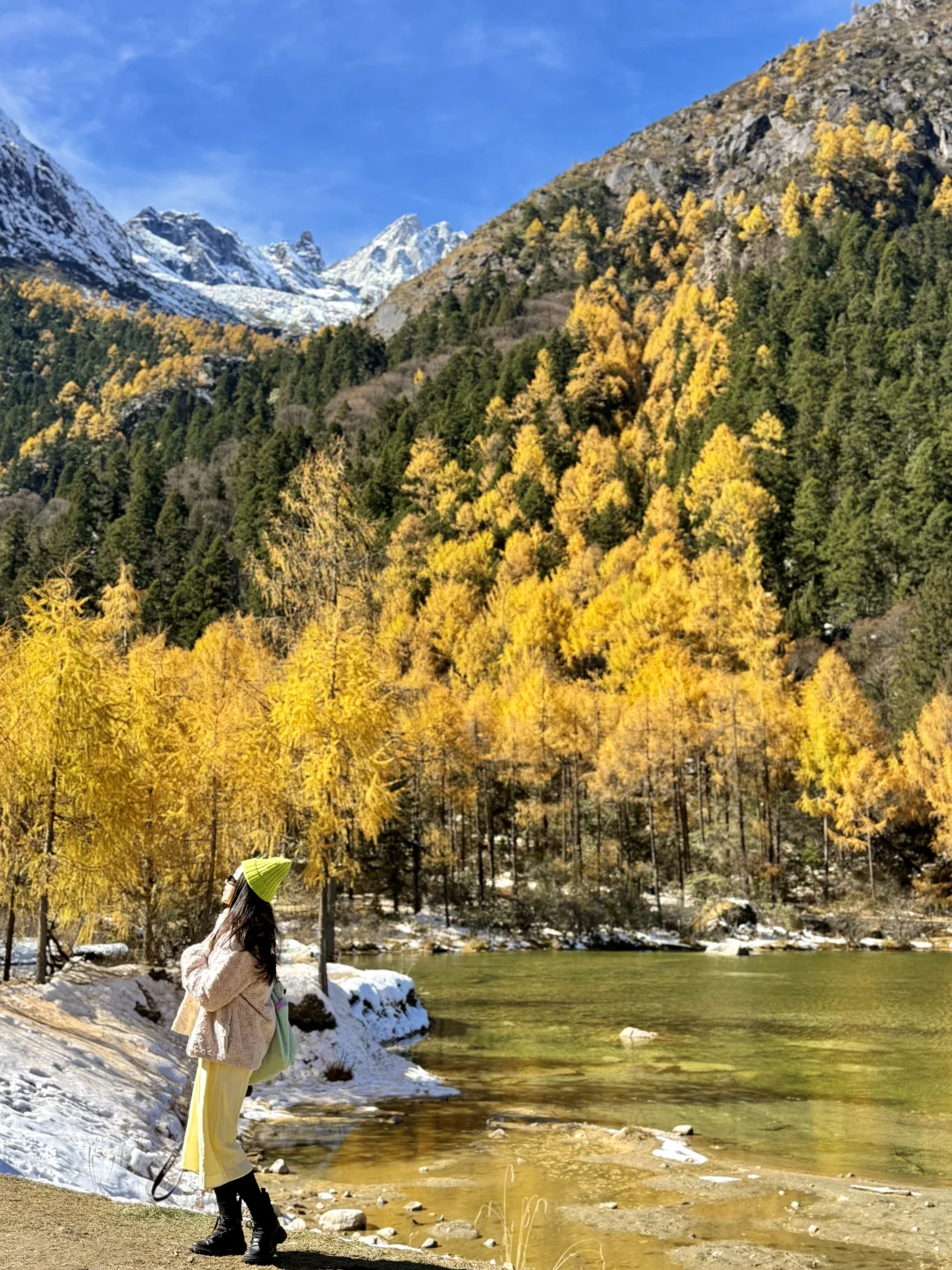 我在毕棚沟看到了此生最绚烂的秋天！！live图