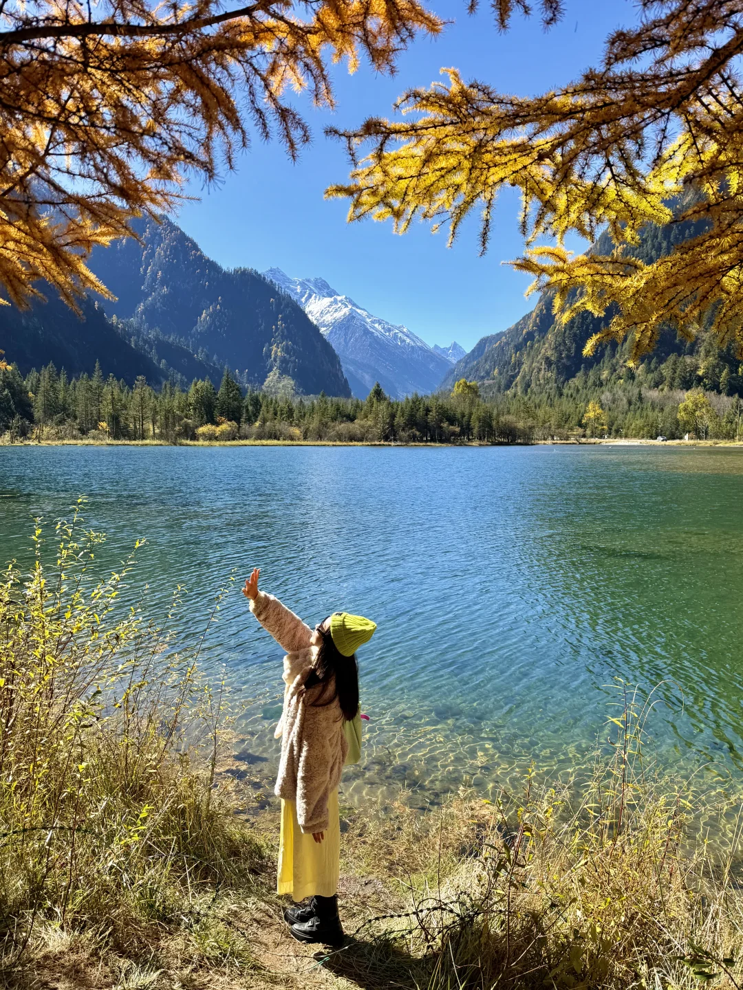 我在毕棚沟看到了此生最绚烂的秋天！！live图