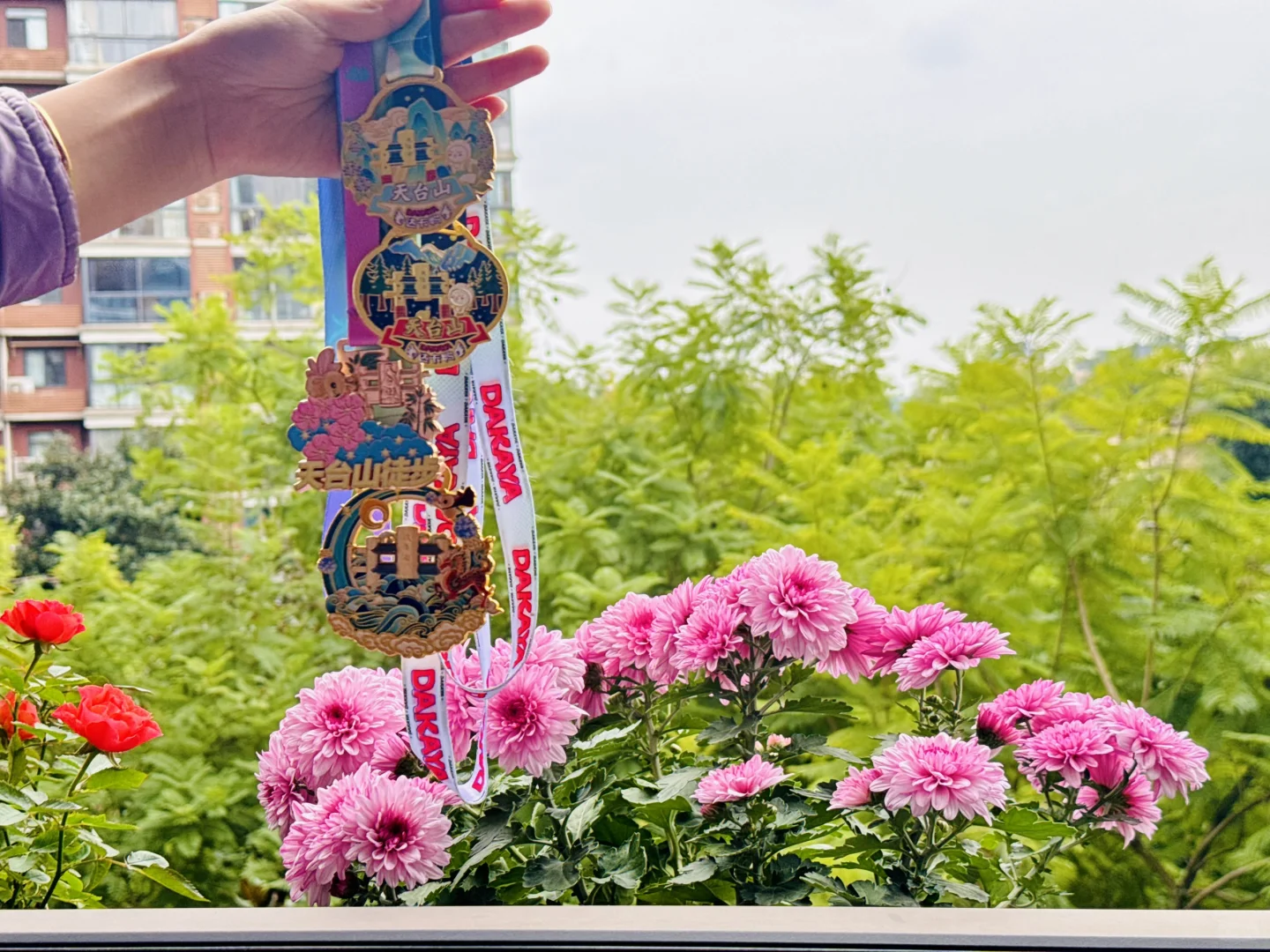 🍂秋假免票+三款奖牌!成都天台山喊你冲