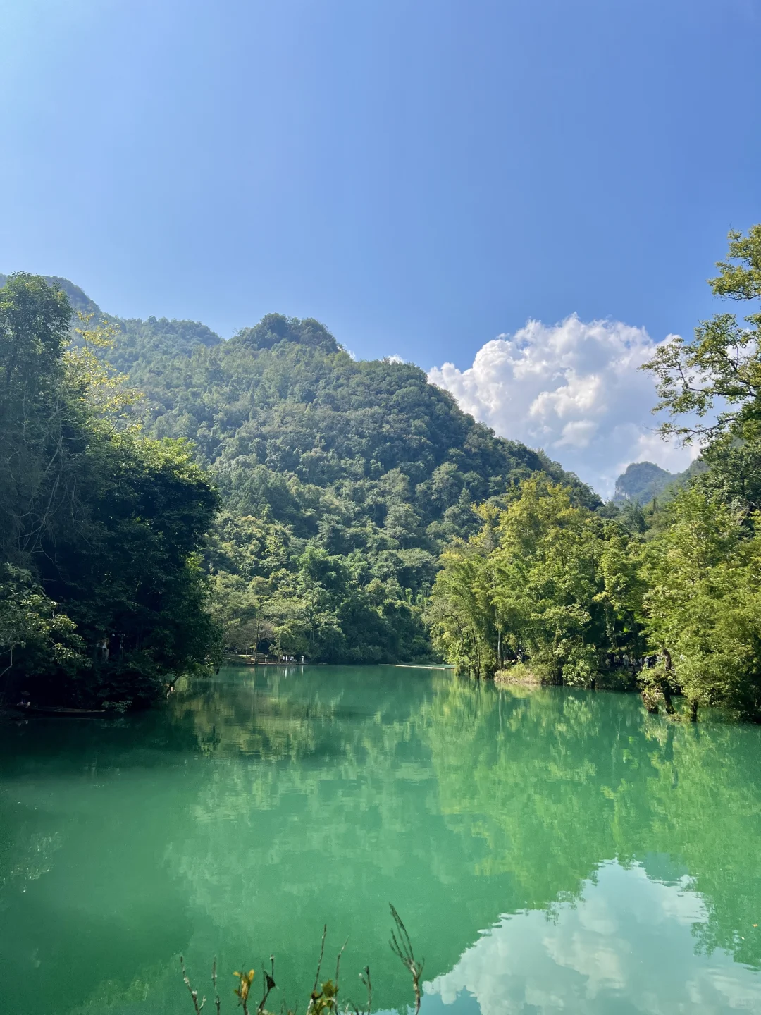 荔波小七孔｜无滤镜live图直出景色图来了🍃