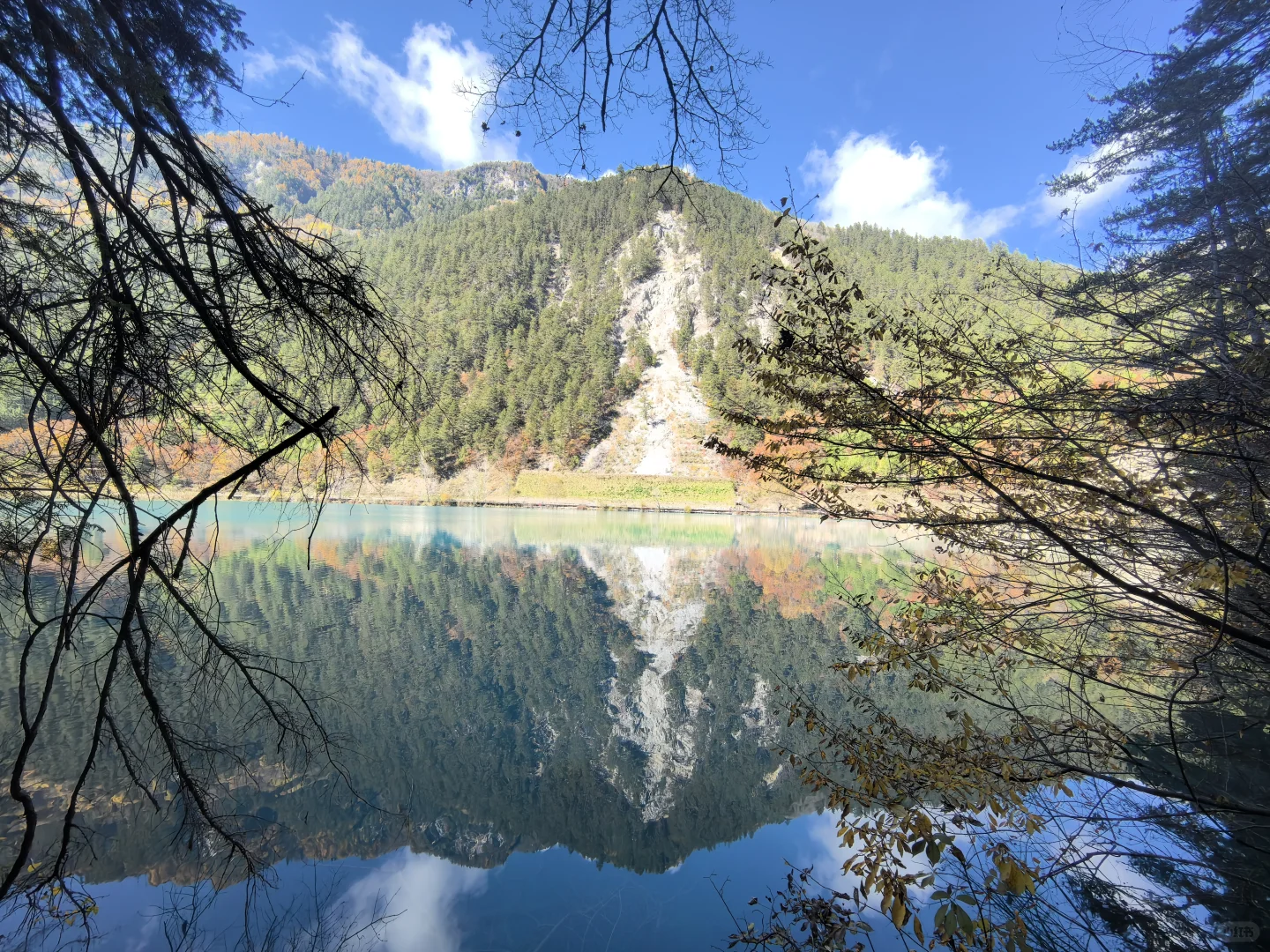 11.11九寨沟树正沟实况