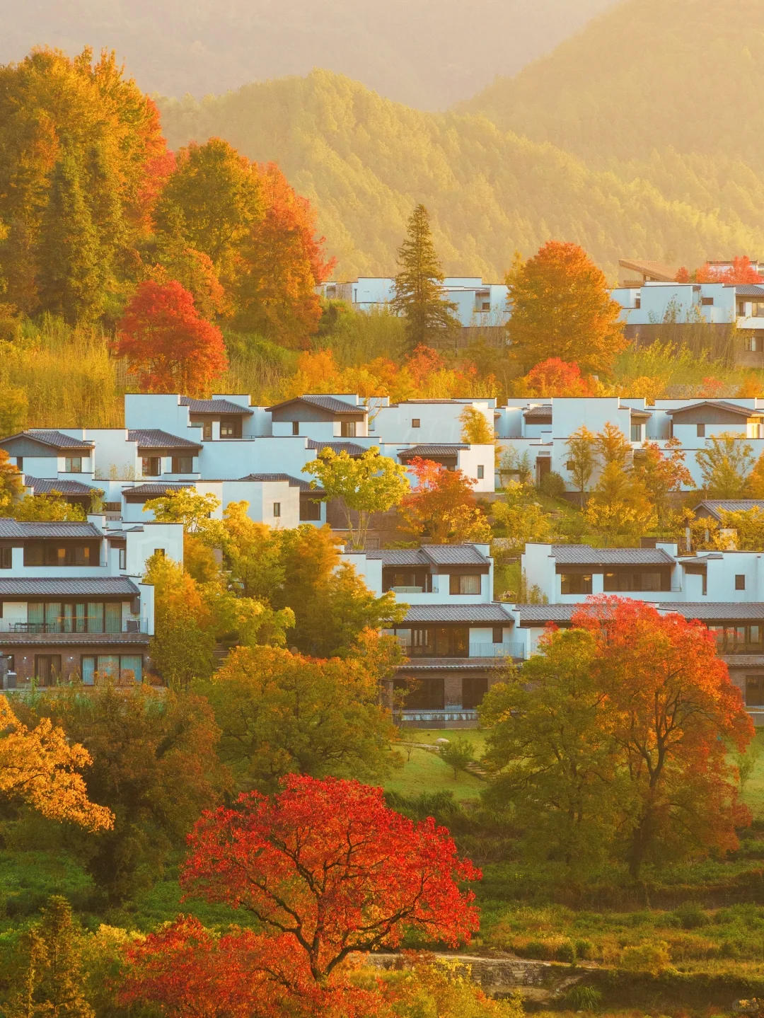 塔川实拍🍁皖南秋天可以冲啦‼️附拍照攻略