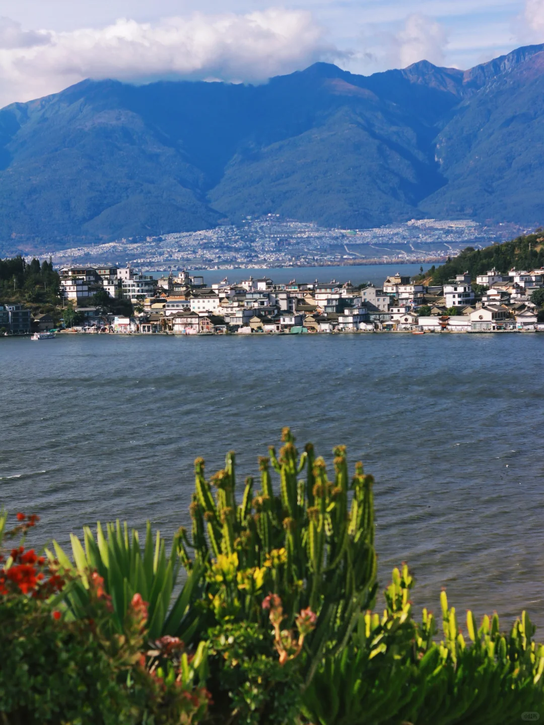 接下来的大理🍂才是冬日里的人间理想！