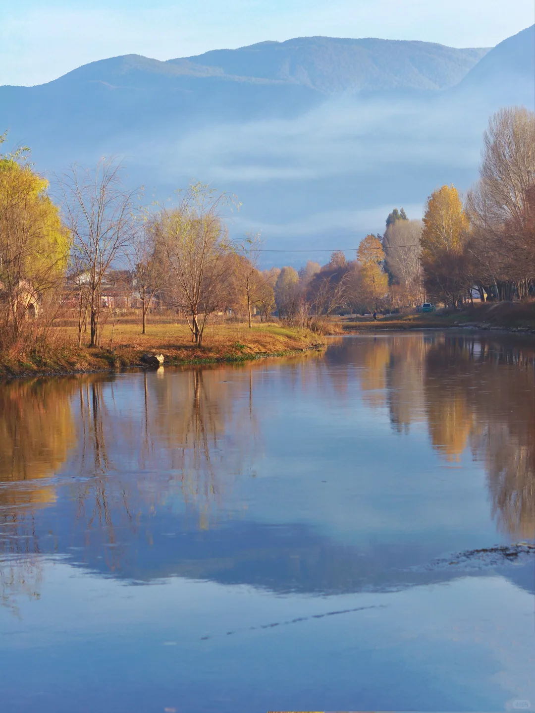 接下来的大理🍂才是冬日里的人间理想！