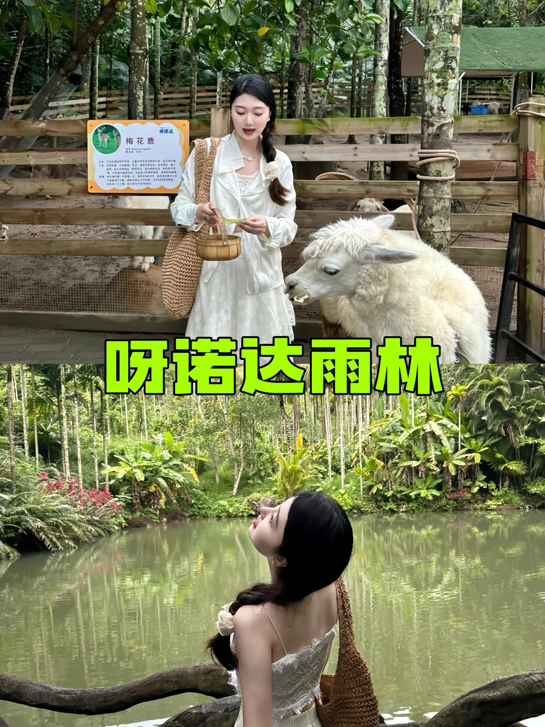 三亚家庭版攻略v主打一个省心，5天人均1k+