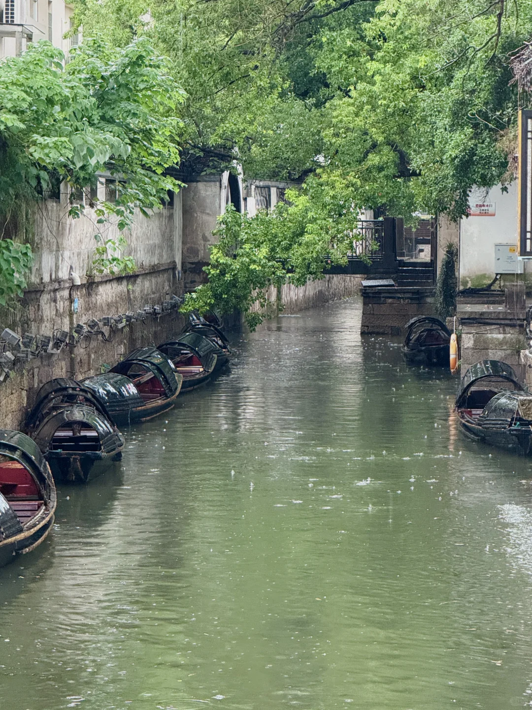 淡季的绍兴真的人间理想。。。