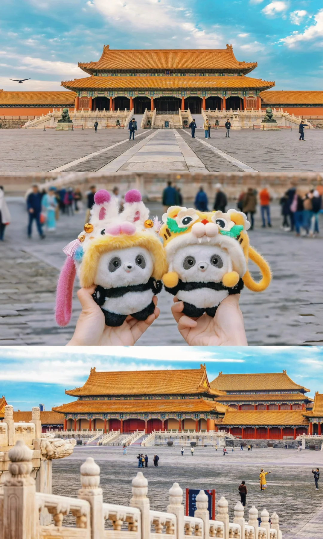 打卡故宫经典机位|果然老祖宗是懂审美的!