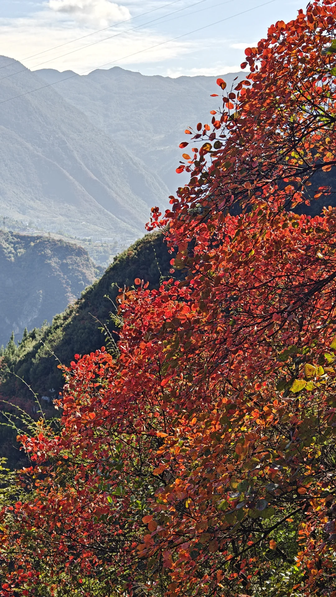 巫峡神女景区（神女天路25年11月11号）