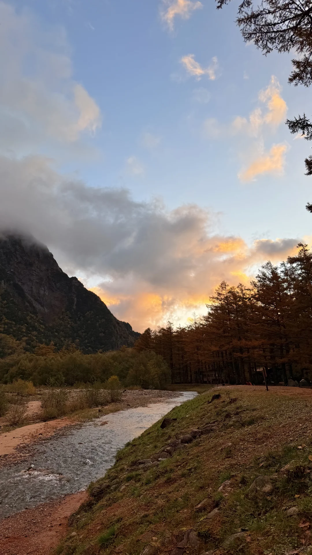 用全屏live打开上高地的秋天🍁