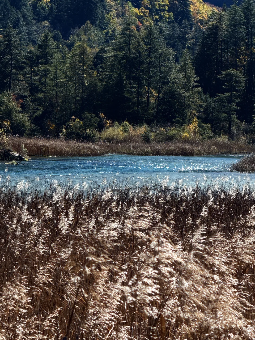 说一万次“太美了”
